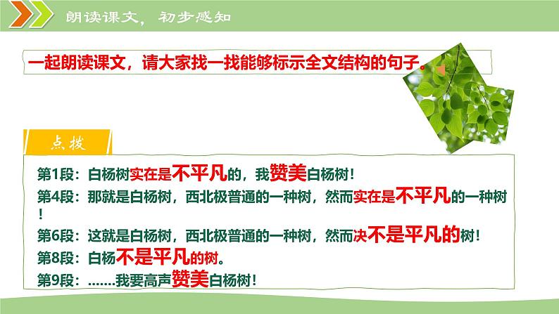 统编版语文八年级上册第15课《白杨礼赞》教学课件第7页