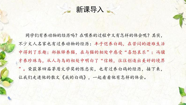 统编版语文七年级上册第18课《我的白鸽》课件第2页