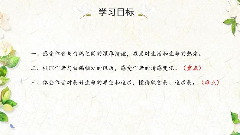 统编版语文七年级上册第18课《我的白鸽》课件第3页