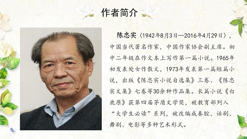 统编版语文七年级上册第18课《我的白鸽》课件第4页