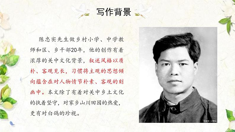 统编版语文七年级上册第18课《我的白鸽》课件第6页