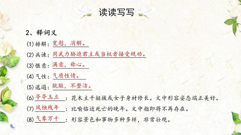 统编版语文七年级上册第18课《我的白鸽》课件第8页