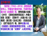 语文人教部编版2024七年级上册 第18课 我的白鸽 课件