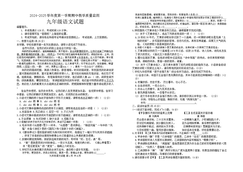 山东省枣庄市市中区2024-2025学年九年级上学期11月期中考试语文试题01