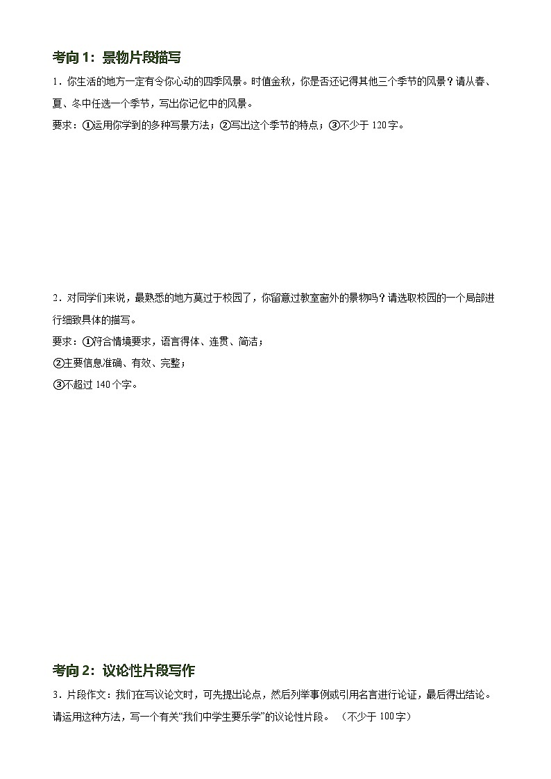 第39讲 小作文写作（练习）-中考语文一轮复习讲练测（全国通用） （原卷版）第2页