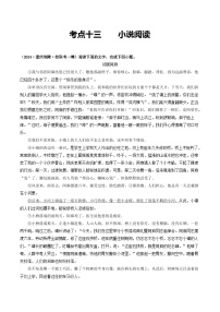 中考语文一轮复习考点过关练习考点13    小说阅读（好题冲关·模拟集训）（2份，原卷版+解析版）
