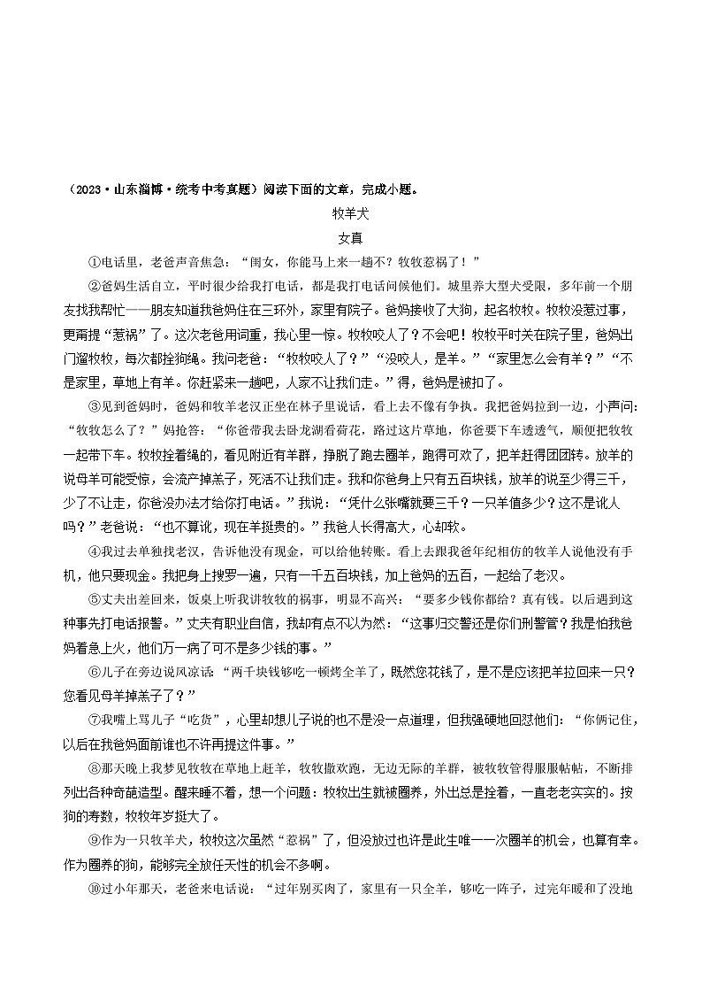 中考语文一轮复习考点过关练习考点13    小说阅读（好题冲关·真题演练）（原卷版）第3页