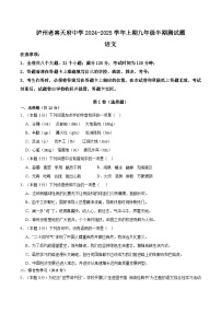 四川省泸州市泸州老窖天府中学2024-2025学年九年级上学期11月期中语文试题
