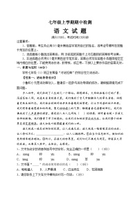 山东省泰安市新泰市2024-2025学年七年级上学期11月期中语文试题