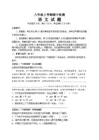 山东省泰安市新泰市2024-2025学年八年级上学期11月期中语文试题