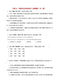 2025年中考语文二轮复习名著阅读真题演练专题08《钢铁是怎样炼成的》（单一题）（2份，原卷版+解析版）