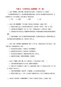 2025年中考语文二轮复习名著阅读真题演练专题09《艾青诗选》（单一题）（2份，原卷版+解析版）