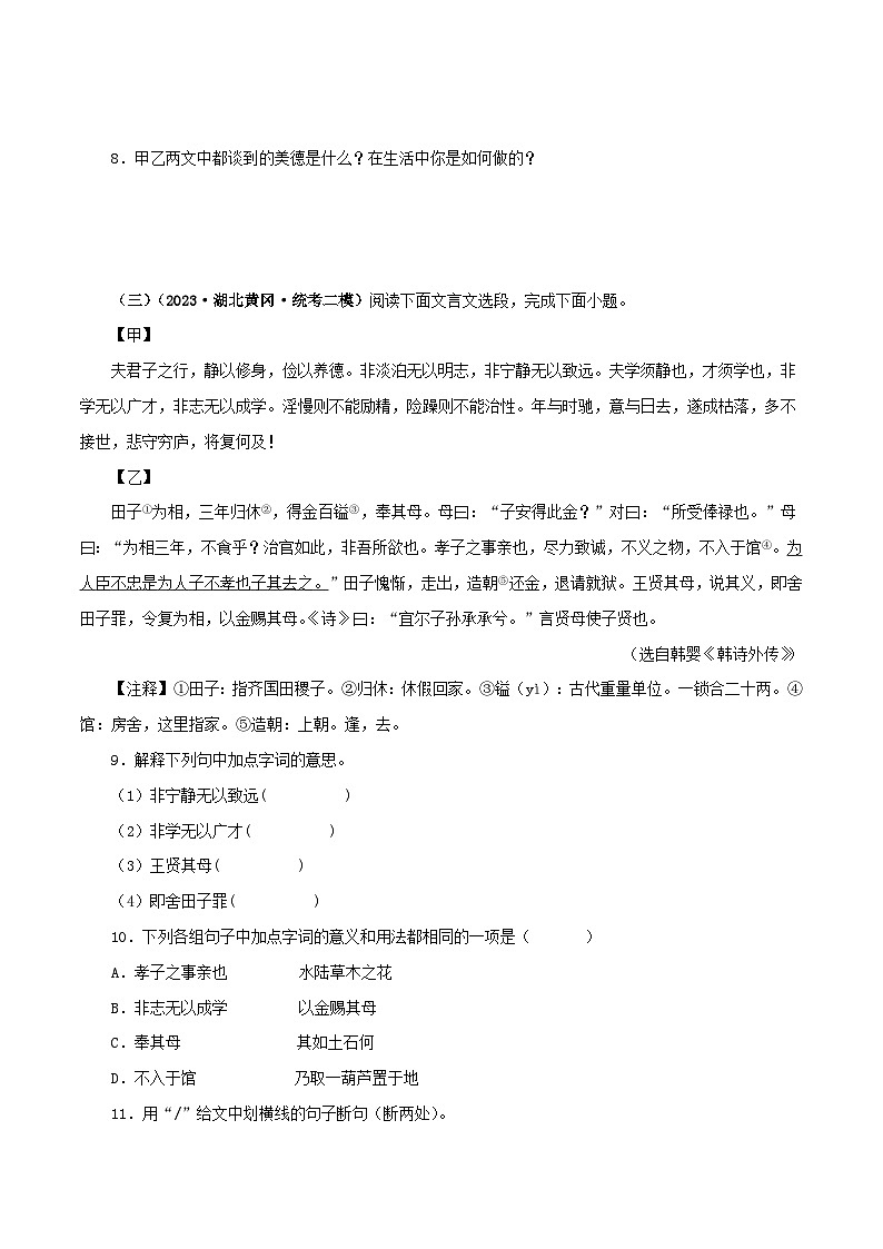 2025年中考语文二轮复习文言文对比阅读专题04 诫子书（原卷版）第3页