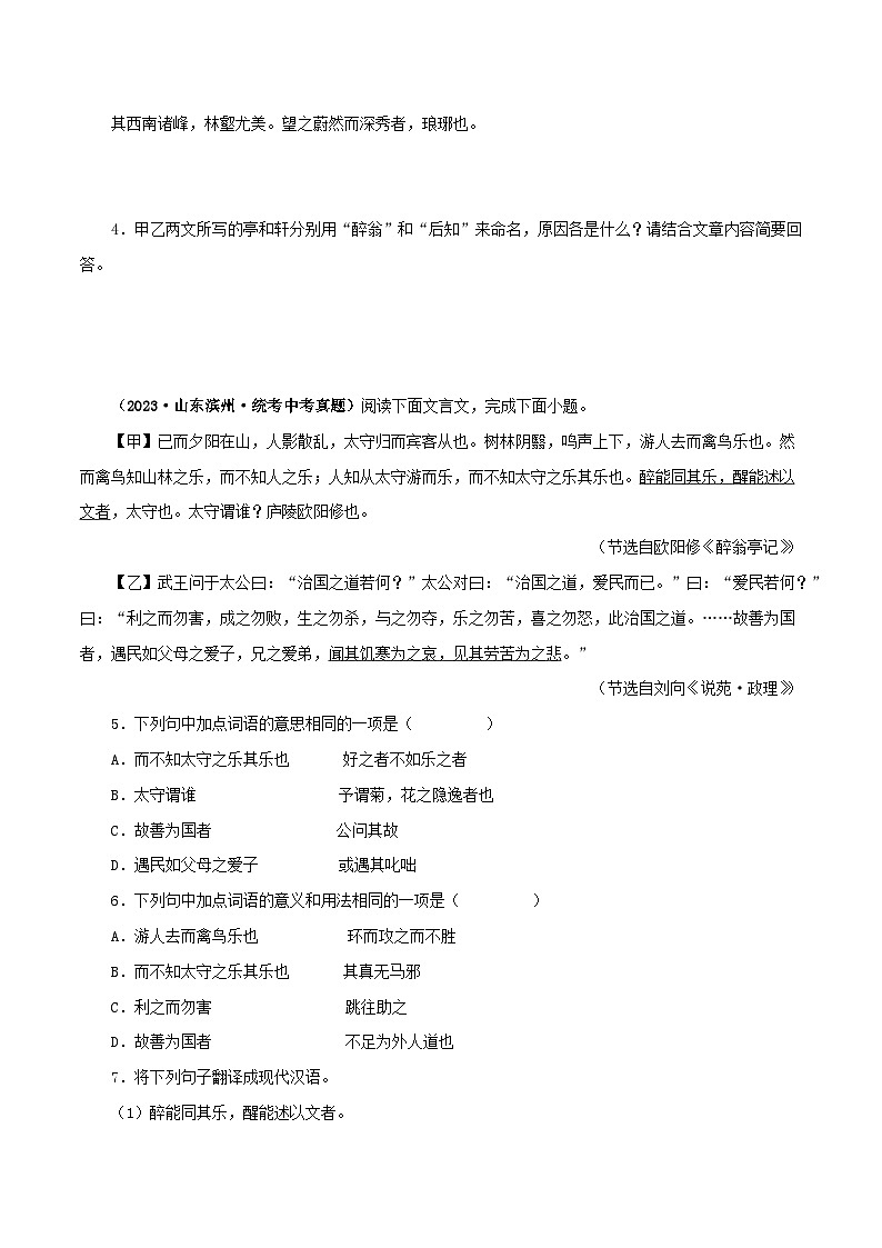 2025年中考语文二轮复习文言文对比阅读专题31 醉翁亭记（原卷版）第2页