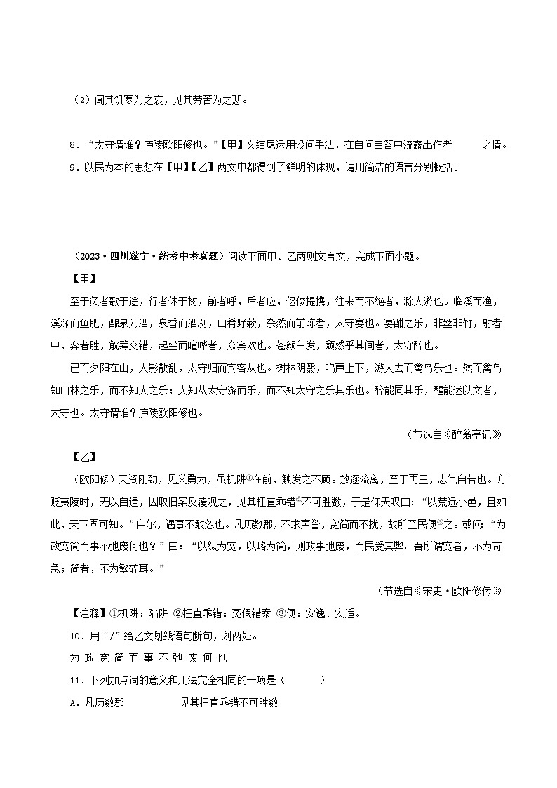 2025年中考语文二轮复习文言文对比阅读专题31 醉翁亭记（原卷版）第3页