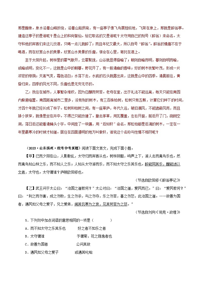 2025年中考语文二轮复习文言文对比阅读专题31 醉翁亭记（解析版）第3页