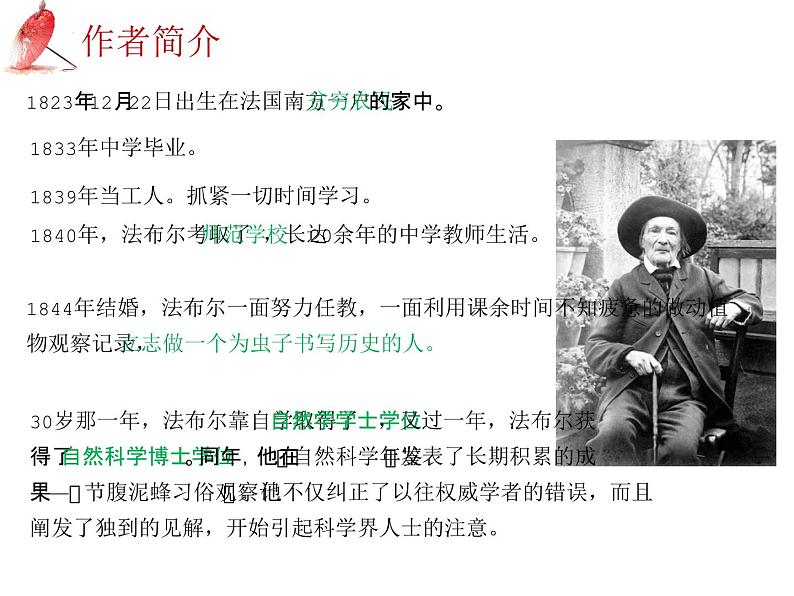 2025年中考语文二轮复习高频考点精讲课件第3讲 名著导读之《昆虫记》昆虫的世界第7页