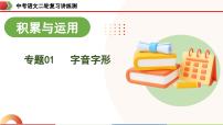 中考语文二轮复习讲练测课件专题01 字音字形（含解析）