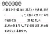 初中语文新人教部编版七年级上册第三单元《朝花夕拾》阅读计划一：前五篇作业课件（2024秋）