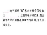 初中语文新人教部编版七年级上册第三单元《朝花夕拾》阅读计划三：整本书阅读作业课件（2024秋）