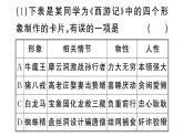 初中語文新人教部編版七年級(jí)上冊(cè)第六單元《西游記》閱讀計(jì)劃三：整本書閱讀作業(yè)課件（2024秋）