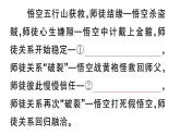 初中語文新人教部編版七年級(jí)上冊(cè)第六單元《西游記》閱讀計(jì)劃二：五十至一百回作業(yè)課件（2024秋）