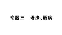 初中语文新人教部编版七年级上册期末专题复习三《 语法、语病》作业课件（2024秋）
