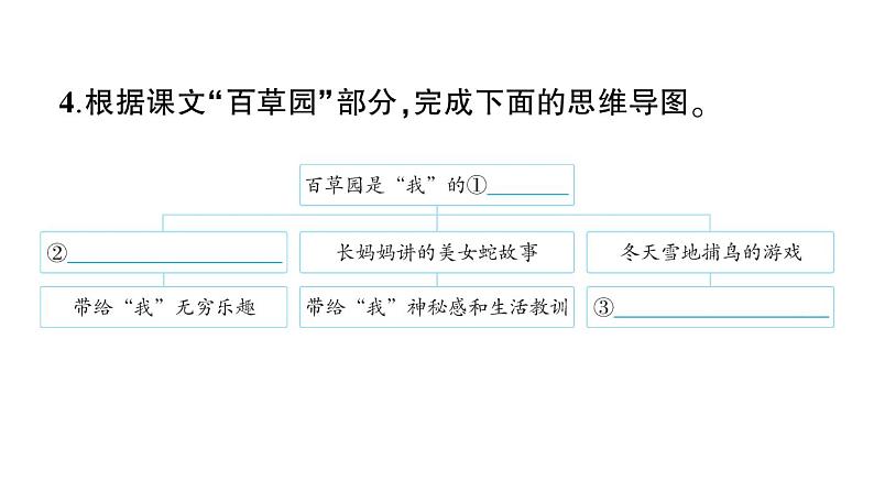 初中语文新人教部编版七年级上册第9课《从百草园到三味书屋》作业课件（2024秋）第5页
