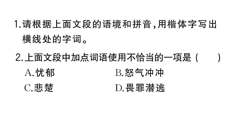 初中语文新人教部编版七年级上册第17课《猫》作业课件第二套（2024秋）05