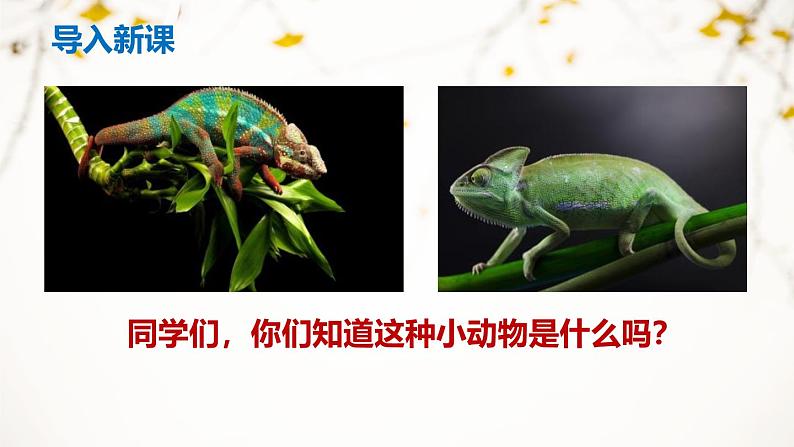 部编版九下语文第6课〈变色龙〉同步课件第2页