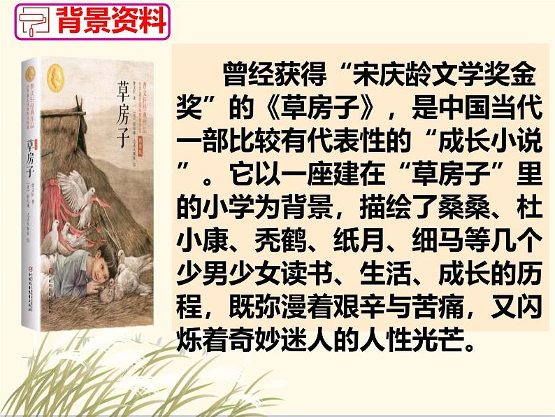 初中语文人教部编版九年级上册 17孤独之旅  课件第5页