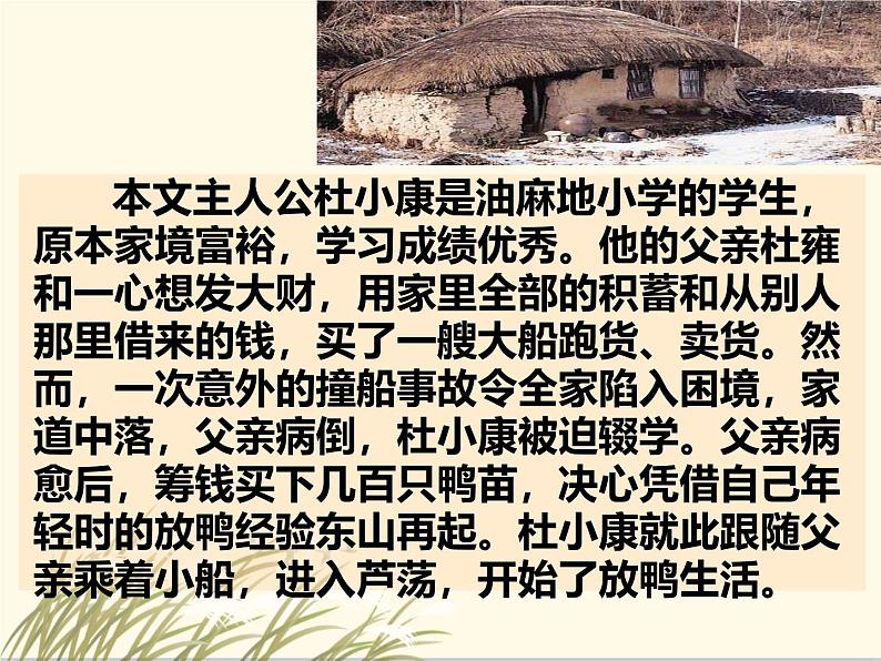 初中语文人教部编版九年级上册 17孤独之旅  课件第6页