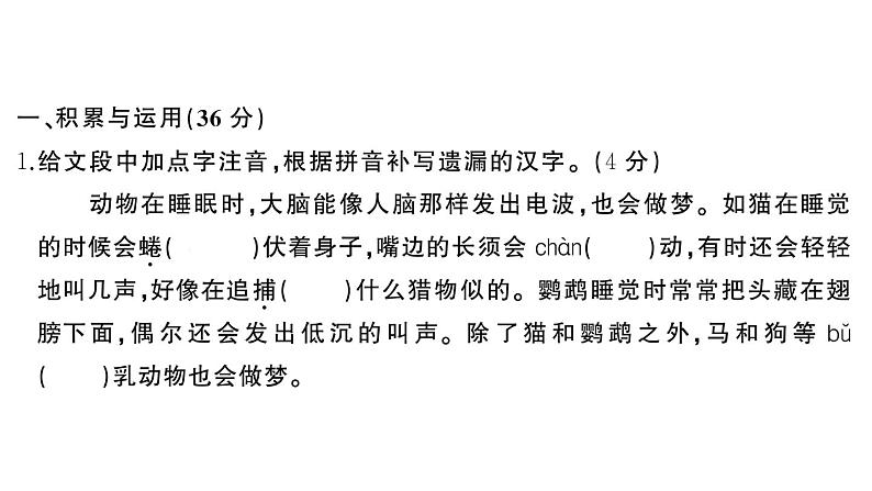 初中语文新人教部编版七年级上册第五单元《综合训练》课件（2024秋）第2页