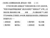 初中语文新人教部编版七年级上册第五单元《综合训练》课件（2024秋）
