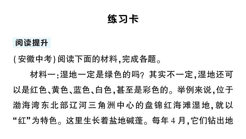 初中语文新人教部编版七年级上册第19课《大雁归来》作业课件（2024秋）第5页