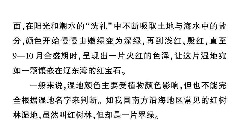 初中语文新人教部编版七年级上册第19课《大雁归来》作业课件（2024秋）第6页