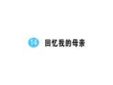 初中語(yǔ)文新人教部編版七年級(jí)上冊(cè)第14課《回憶我的母親》作業(yè)課件（2024秋）