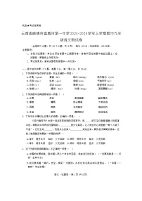 云南省曲靖市宣威市第一中学2024-2025学年九年级上学期11月期中语文试题
