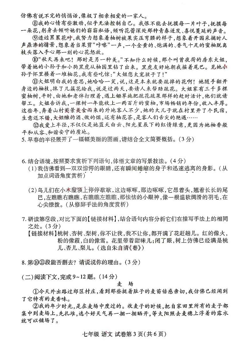 河南省洛阳市洛龙区2024-2025学年七年级上学期期中语文试卷03