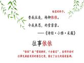 初中语文新人教部编版七年级上册第10课《往事依依》考点精讲课件（2024秋）
