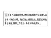 初中語(yǔ)文新人教部編版七年級(jí)上冊(cè)第15課《梅嶺三章》作業(yè)課件（2024秋）