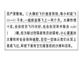 初中語文新人教部編版七年級(jí)上冊(cè)第19課《大雁歸來》作業(yè)課件（2024秋）