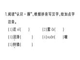 初中語文新人教部編版七年級(jí)上冊(cè)第19課《大雁歸來》作業(yè)課件（2024秋）