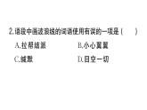 初中語文新人教部編版七年級(jí)上冊(cè)第19課《大雁歸來》作業(yè)課件（2024秋）