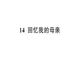 初中語(yǔ)文新人教部編版七年級(jí)上冊(cè)第14課《回憶我的母親》作業(yè)課件（2024秋）