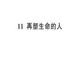 初中语文新人教部编版七年级上册第11课《再塑生命的人》作业课件（2024秋）
