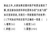 初中语文新人教部编版七年级上册第18课《我的白鸽》作业课件（2024秋）