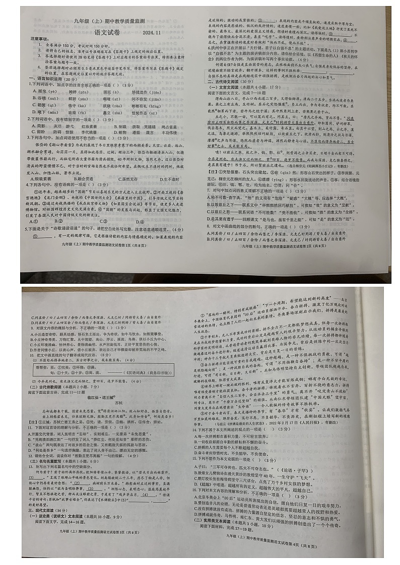 四川省眉山市洪雅县2024-2025学年九年级上学期期中考试语文试题第1页