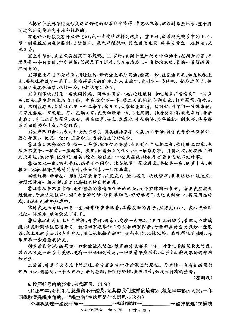 河南省安阳市林州市2024-2025学年八年级上学期期中考试语文试题A卷03