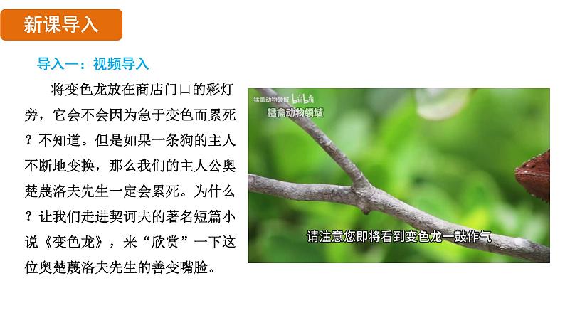 6.变色龙 第1课时第4页